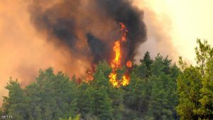 حرائق غابات تهدد منتجعات أنطاليا التركية
