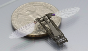 بالفيديو .. ابتكار روبوتات طائرة بحجم الحشرات