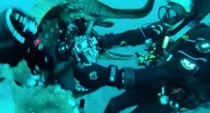 أستراليا : ” أخطبوط ” يسرق كاميرا من غواص بعد صورة “ سيلفي ”