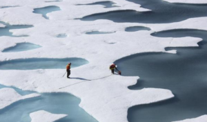 عالم : جليد القطب الشمالي في طريقه للزوال