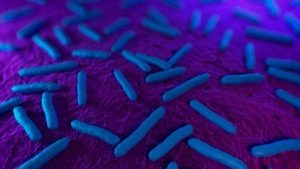 دراسة : بكتيريا عمرها 15 مليون سنة تعيش في أمعاء البشر