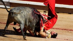 إسبانيا : مقتل مصارع بـ ” قرن ثور ” للمرة الأولى منذ 30 عاماً