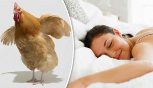 علماء : النوم مع ” الدجاج ” يحمي من لدغات البعوض الناقل للملاريا !