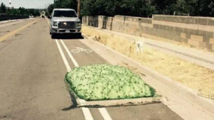 كتل خضراء تثير الرعب على الطرقات في الولايات المتحدة