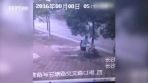 بالفيديو .. لص صيني يقطع شجرة لسرقة دراجة مربوطة بجذعها !