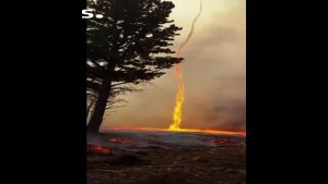بالفيديو .. هذا ما يحدث عندما تهب زوبعة على حريق في الغابة