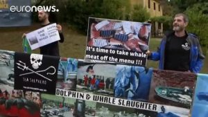 جدل حول رفع حظر صيد ” الحيتان ” ( فيديو )