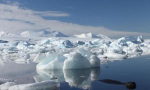 العثور على ” جرثومة ” غريبة في قارة القطب الجنوبي