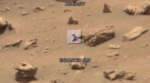 بالفيديو .. متحجرة تشبه حيوان زاحف على سطح كوكب المريخ
