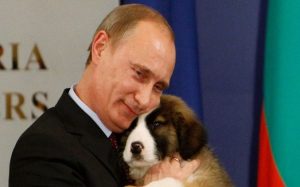 روسيا تعتزم تشديد العقوبة على معذبي الحيوانات