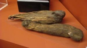 حارس متحف في ألمانيا يعثر بالصدفة على ” مومياء فرعونية “