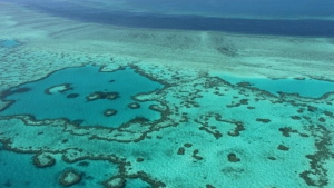 استراليا تؤكد أن الحاجز المرجاني العظيم ليس في طريقه إلى الزوال