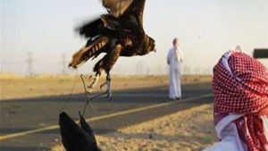 أمراء إماراتيون يتعرضون لإطلاق نار في باكستان بسبب ” طيور الحبارى “