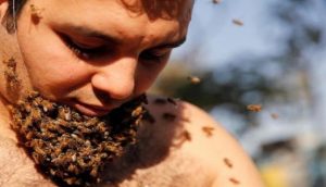 شاب مصري يربي ” لحية من النحل ” للترويج لفوائده