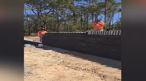 بالفيديو .. عمال أستراليون ينهون بناء جدار بطريقة أحجار ” الدومينو “