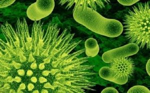 أطباء يكتشفون ” بكتيريا ” تقضي على العدوى