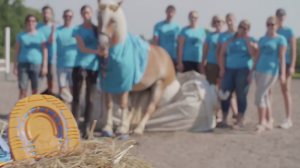 بالفيديو .. أول حذاء جري مطاطي مخصص للخيول