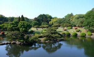 آلاف السياح يدخلون حديقة يابانية مجاناً بسبب خوف بائع التذاكر !