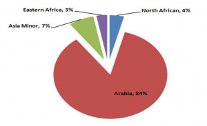 التحليل الجيني يثبت أن العرب ليسوا عرباً تماماً !