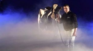 بالصور .. الـ ” مدام ” تفوز بلقب ” ملكة جمال الأبقار ” في ألمانيا