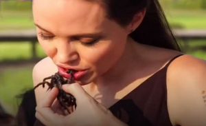 بالفيديو .. أنجلينا جولي تطبخ و تأكل الحشرات في كمبوديا