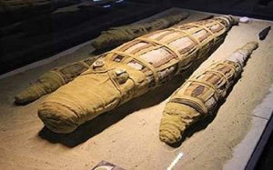 اكتشاف ” مومياء ” لتمساح عملاق في مصر