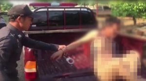 بالفيديو .. ضبط تايلندي عارياً أثناء اغتصابه لـ ” بقرة “