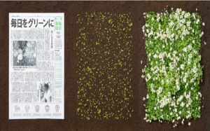 بالفيديو .. اليابان تبتكر ” صحيفة خضراء ” يمكن زرعها و تحويلها إلى أزهار