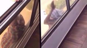 بالفيديو .. امرأة كويتية تصور خادمتها و هي تطلب المساعدة قبل سقوطها من الشرفة