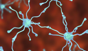 علماء : تخليق خلايا في المخ قد يساعد في علاج الشلل الرعاش