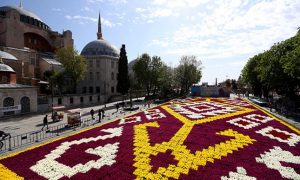 تركيا : أكبر سجادة ” توليب ” في العالم تتوسط ميدان السلطان أحمد بإسطنبول