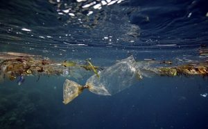 دراسة صادمة : 300 مليار قطعة بلاستيكية تسبح في المحيط المتجمد الشمالي