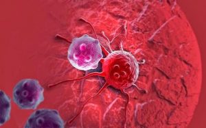 اكتشاف أجسام مضادة قادرة على محاربة مرض السرطان
