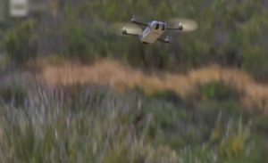 ” snipe ” .. طائرة دون طيار بحجم العصفور يصعب رصدها ( فيديو )