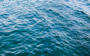 ماذا تحوي مياه البحر التي نبتلعها عن طريق الخطأ ؟