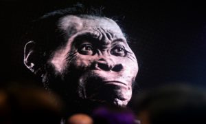 علماء : زواج الإنسان من ” أشباه البشر ” قبل 300 ألف سنة سبب انقراضهم
