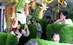 حافلة مزينة على شكل حديقة تسير في شوارع تايوان ( فيديو )