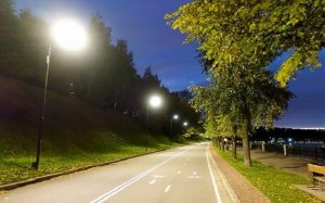 دراسة : أضواء الشوارع تسرق النوم من الأشجار