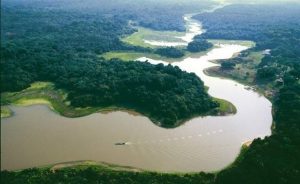 علماء : نهر الأمازون قد يجف بسبب تدهور النظام البيئي