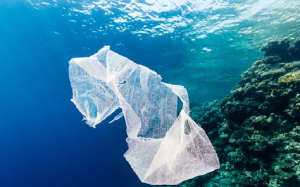 باحثون : ” الميكروبات ” قد تحد من تلوث المحيطات بالنفايات البلاستيكية