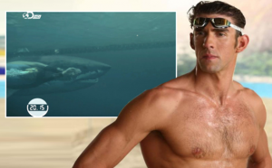 السباح مايكل فيلبس يخسر المبارزة مع ” القرش الأبيض ” ( فيديو )