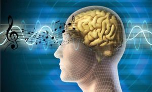 دراسة : الموسيقى تطور أجزاء مهمة من الدماغ ( فيديو )