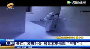 بالفيديو .. لص صيني يتنكر بزي شبح لتجنب كاميرات المراقبة !