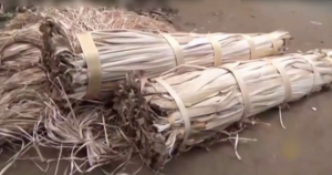 فلاح هندي يستغل ” أوراق الموز ” لصناعات بديلة عن البلاستيك ( فيديو )