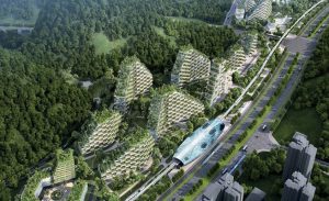 بمليون نبتة و 40 ألف شجرة .. الصين تستعد لبناء أول غابة سكنية في العالم