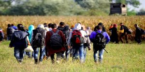 المستشار النمساوي ينتقد تصريحات وزير خارجيته بشأن أزمة الهجرة