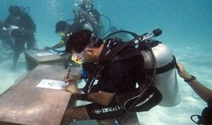 حكومة جزر المالديف تعقد أول اجتماع وزاري ” تحت الماء ” في العالم