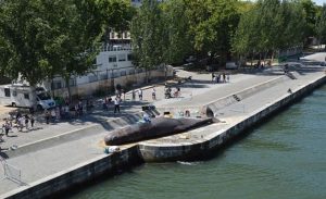 كيف وصل هذا ” الحوت ” العملاق إلى وسط باريس ؟ ( فيديو )