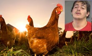 في أمريكا .. رجل يسجل في قائمة المغتصبين بعد تحرشه بـ ” دجاجة ” !
