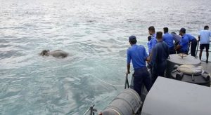 سيريلانكا : إنقاذ ” فيل ” من الغرق بعد عملية دامت 6 ساعات ( فيديو )